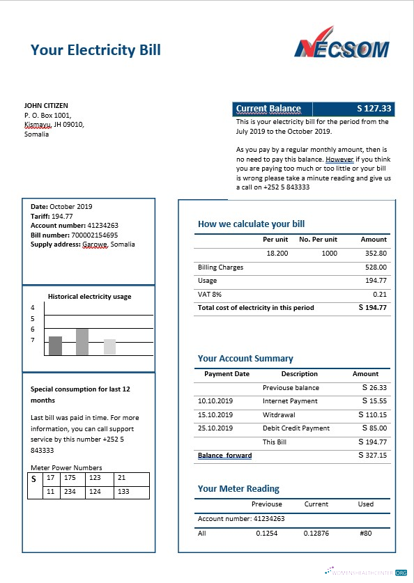 download download Somalia NESCOM electricity bill in Word format